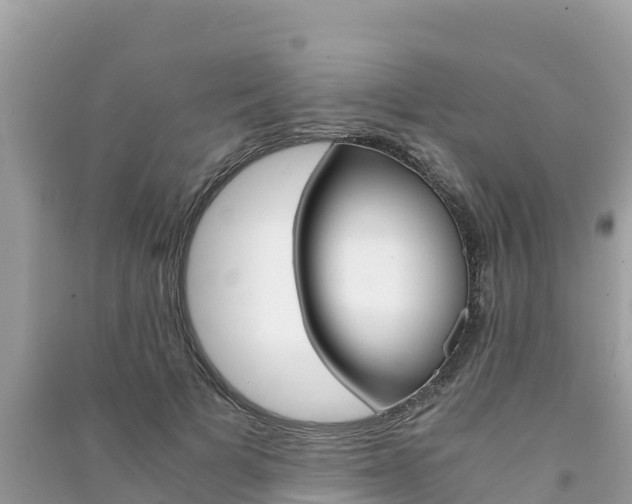 X0000091300697200708101048