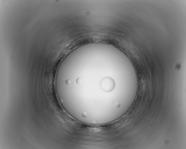 X0000091300698200708101048