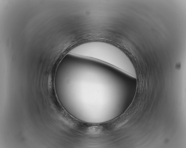 X0000091300700200708101048