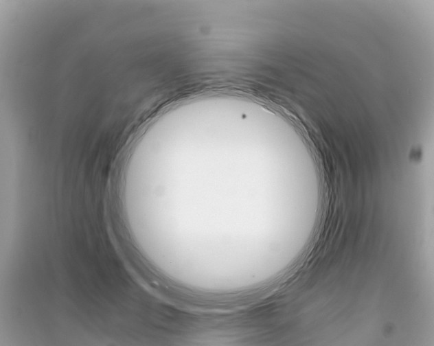 X0000091300701200708101048