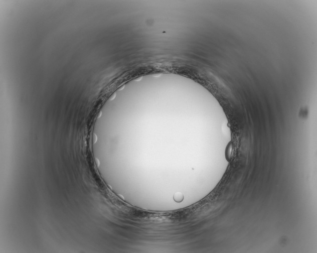X0000091300702200708101048