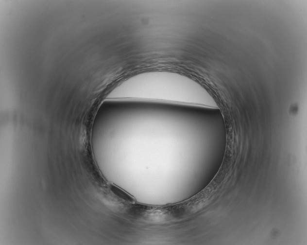 X0000091300704200708101048