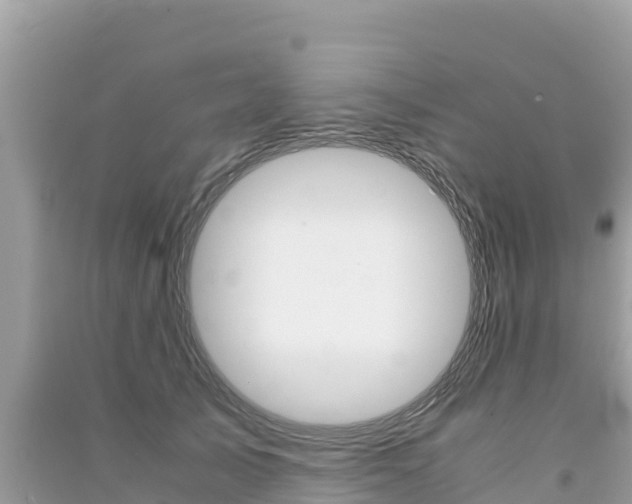 X0000091300705200708101048