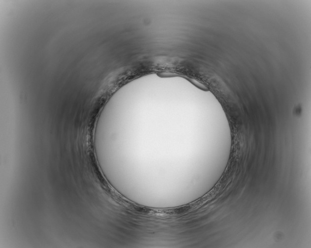 X0000091300706200708101048