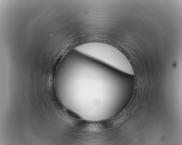 X0000091300708200708101048