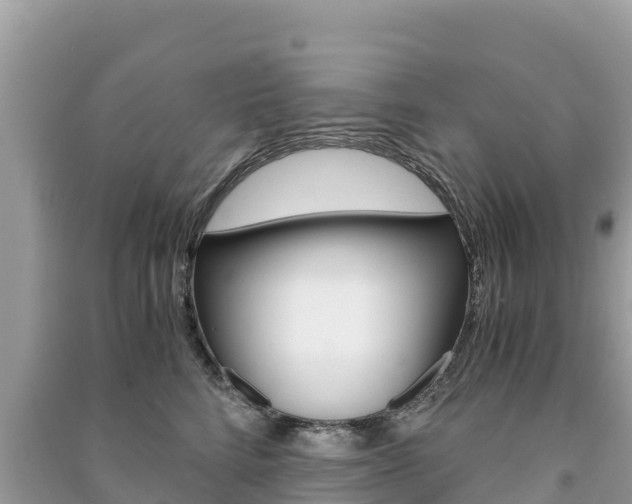 X0000091300712200708101048