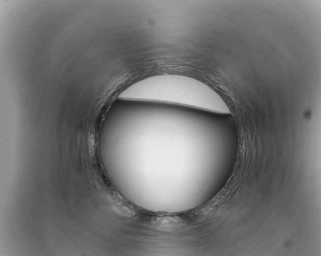 X0000091300716200708101048