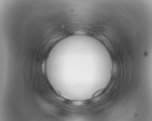 X0000091300717200708101048