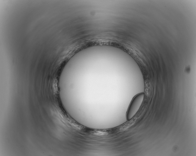 X0000091300718200708101048