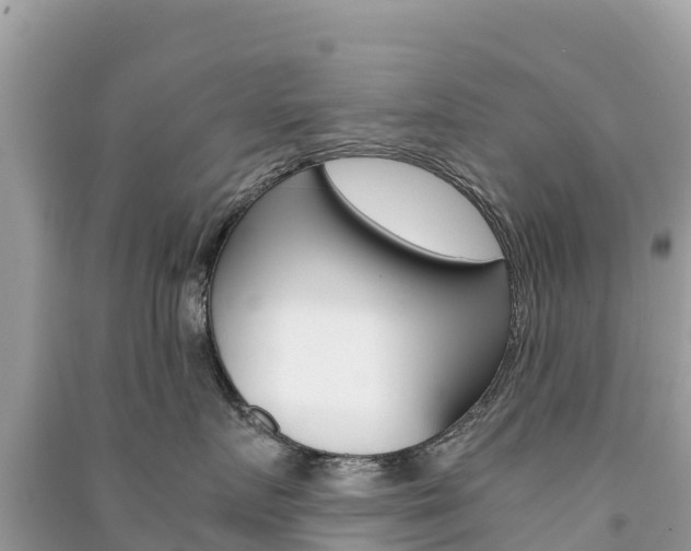 X0000091300719200708101048