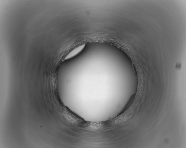 X0000091300720200708101047