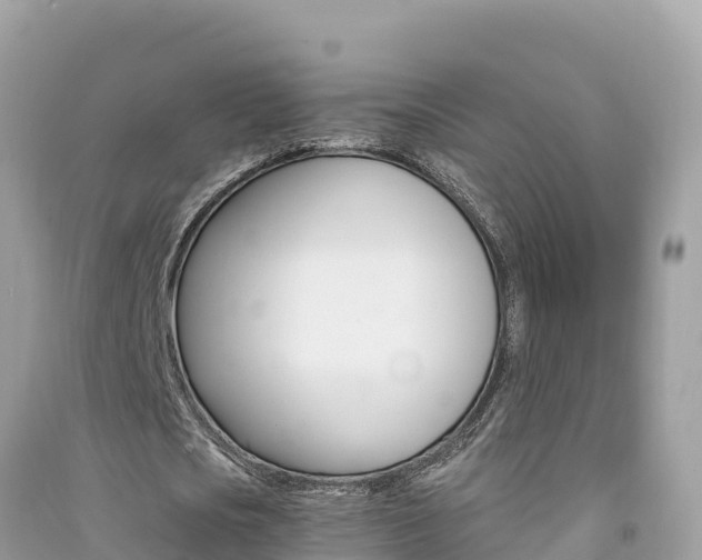 X0000091300721200708101047