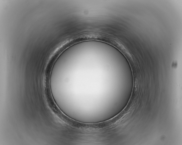 X0000091300722200708101047