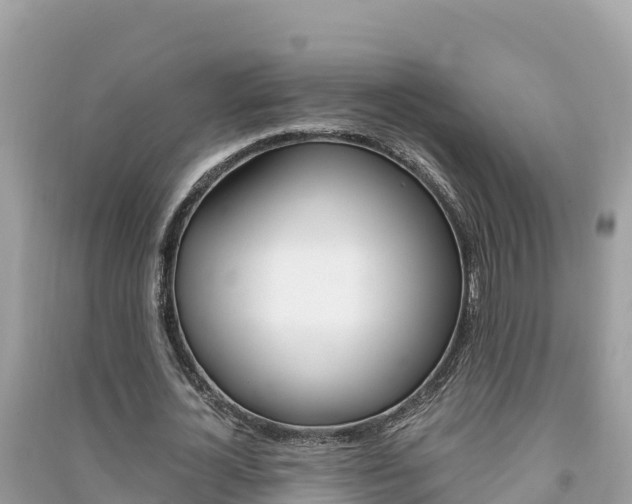 X0000091300724200708101047