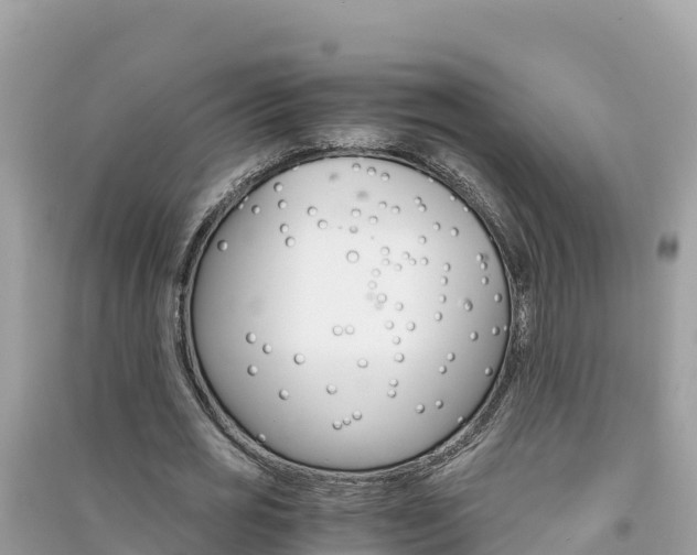 X0000091300725200708101047