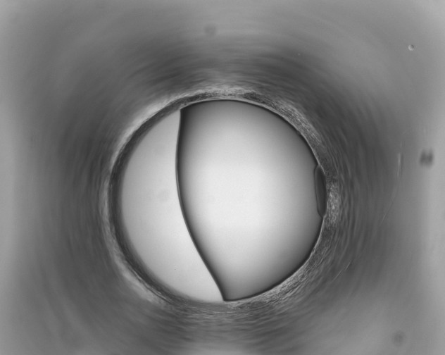 X0000091300726200708101047
