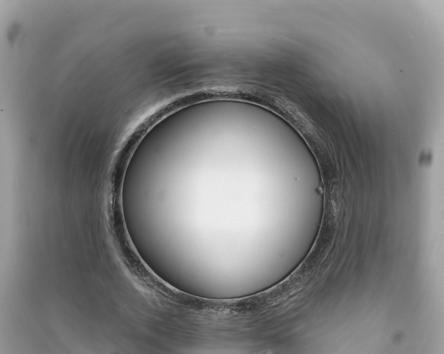 X0000091300728200708101047