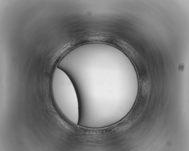 X0000091300729200708101047