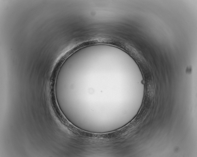X0000091300730200708101047