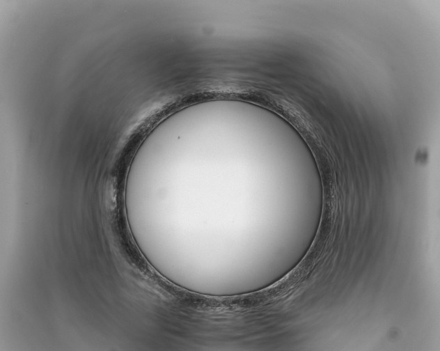X0000091300731200708101047