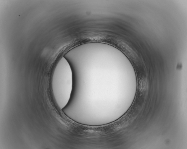 X0000091300733200708101047