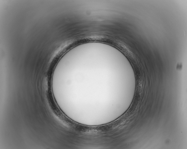 X0000091300734200708101047
