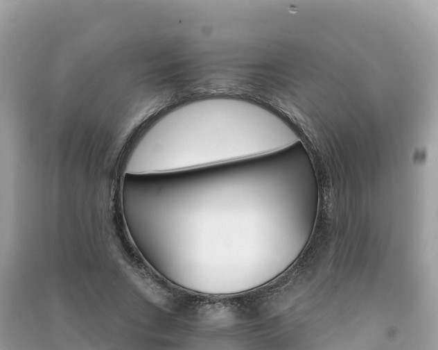 X0000091300735200708101047