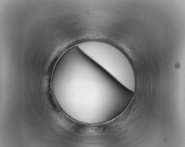 X0000091300736200708101047