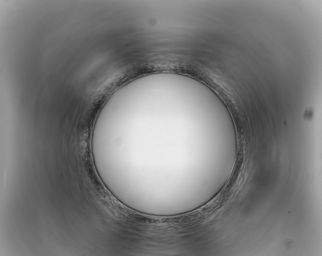 X0000091300737200708101047