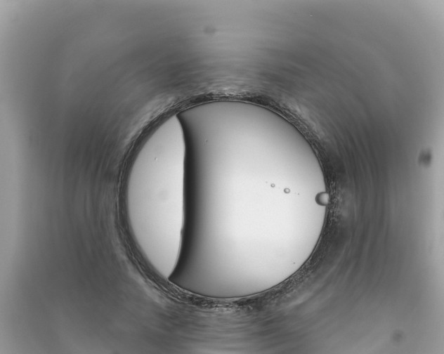 X0000091300738200708101047