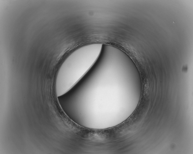 X0000091300739200708101047