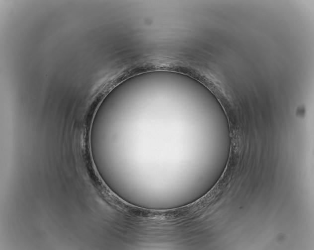 X0000091300740200708101047
