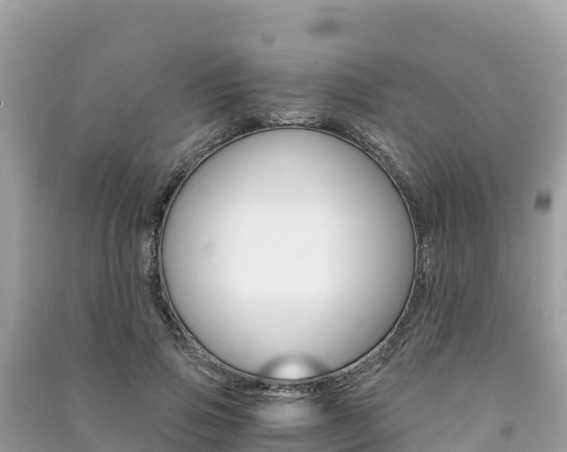 X0000091300741200708101047