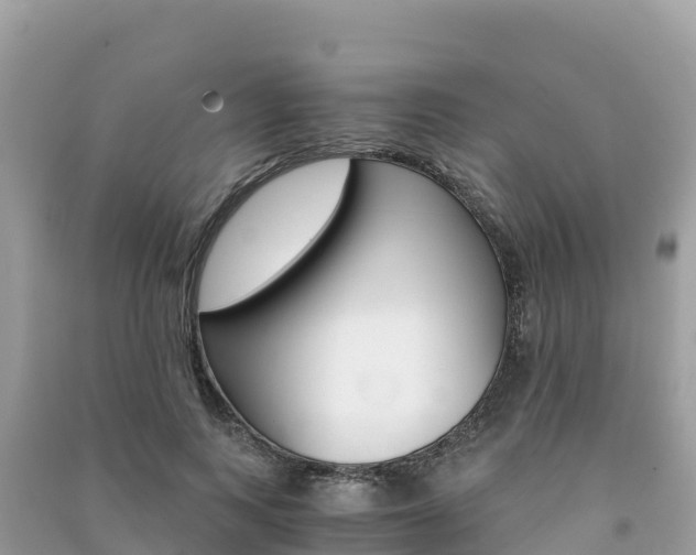 X0000091300743200708101047