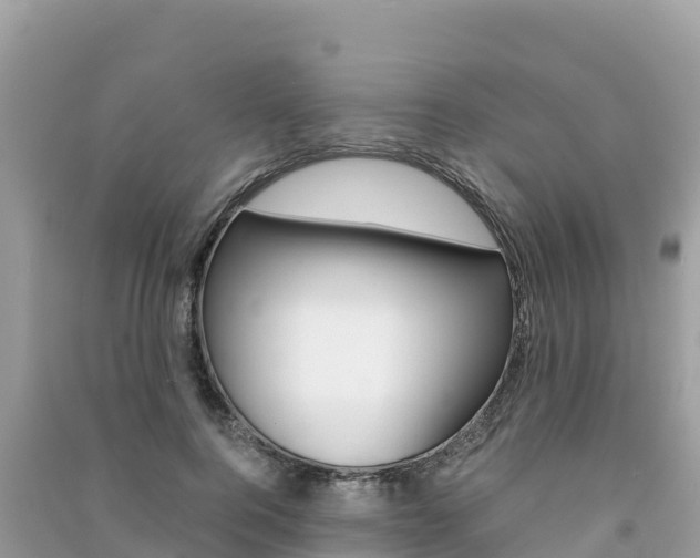 X0000091300744200708101047