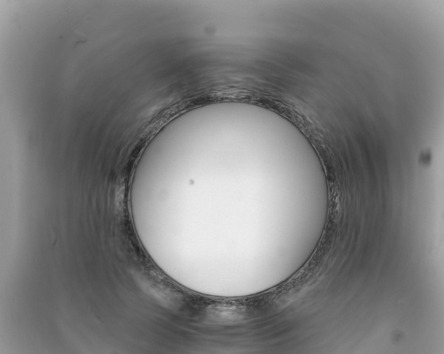 X0000091300745200708101047