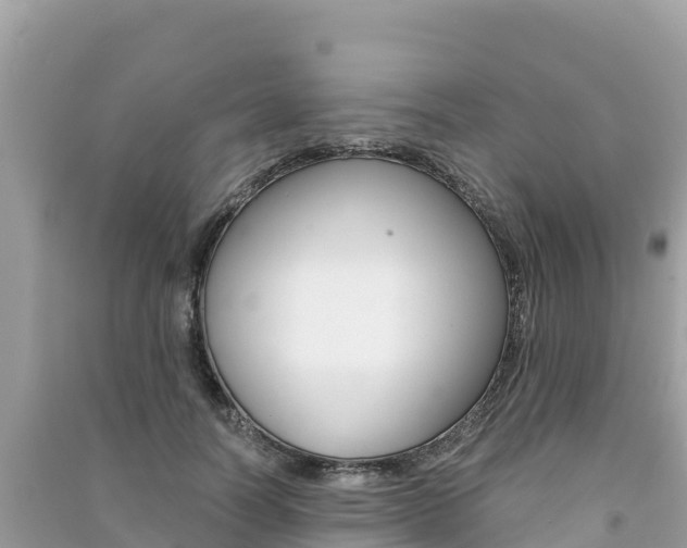 X0000091300746200708101047
