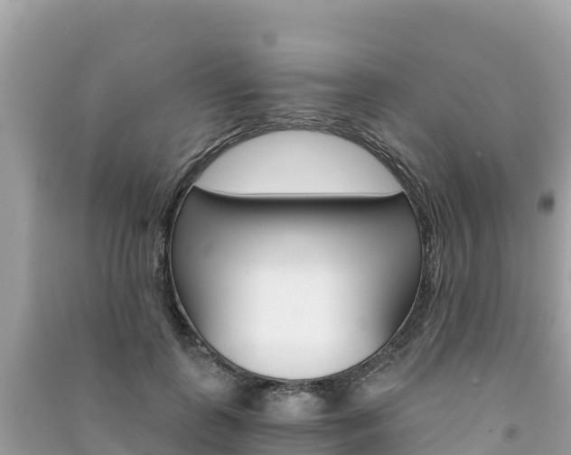 X0000091300747200708101047