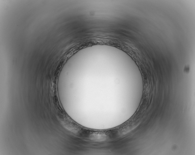 X0000091300749200708101047