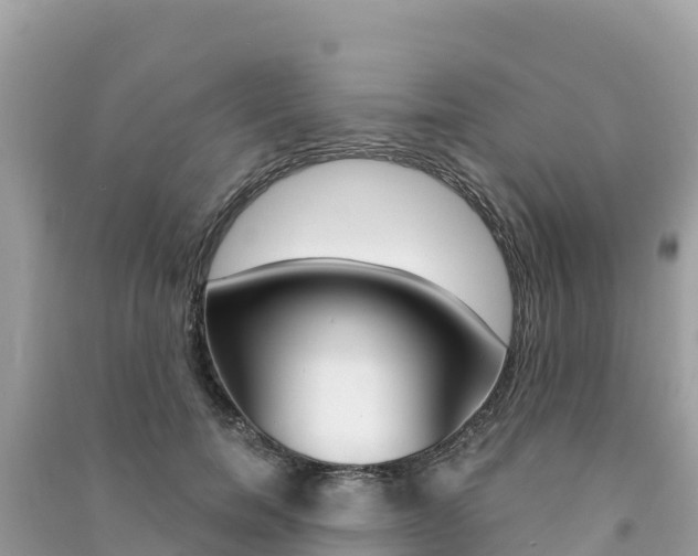 X0000091300750200708101047