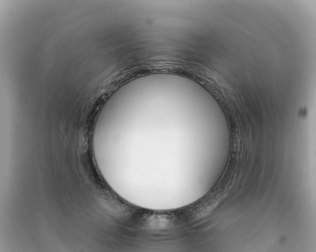 X0000091300751200708101047