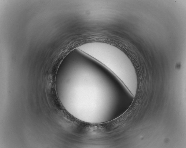 X0000091300752200708101047