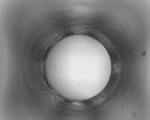 X0000091300753200708101047