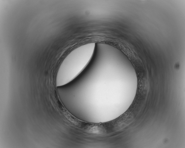 X0000091300755200708101047