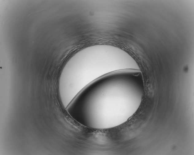 X0000091300756200708101047