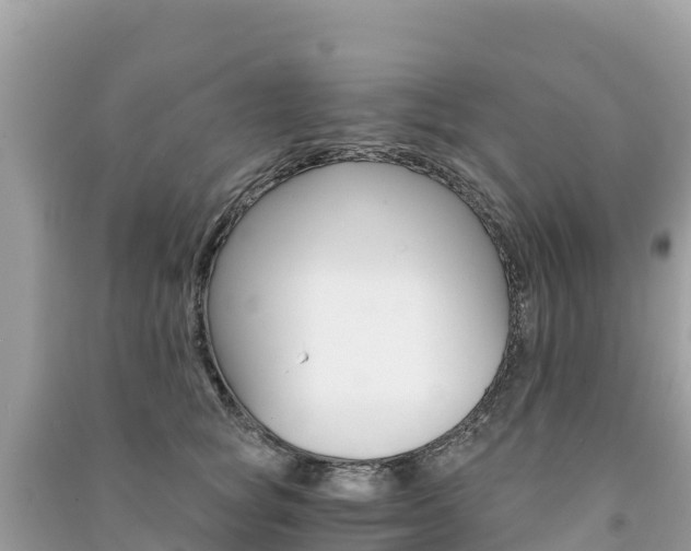 X0000091300757200708101047