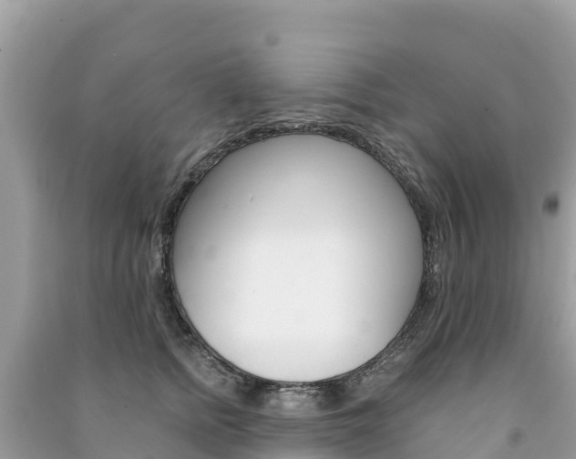 X0000091300758200708101047