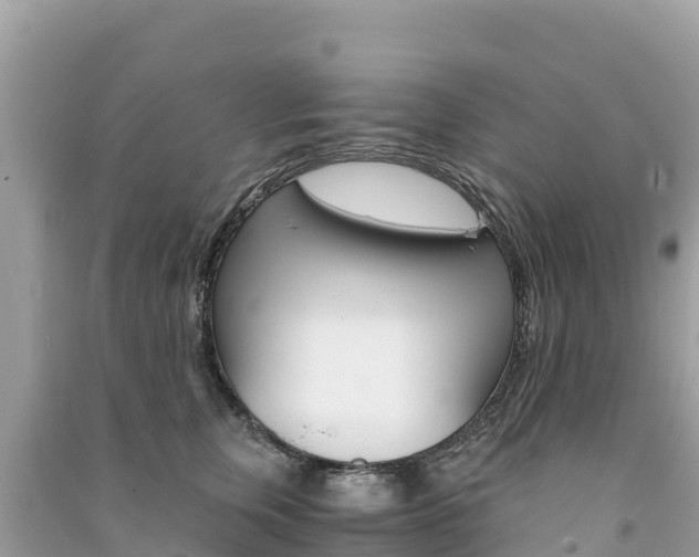 X0000091300759200708101047