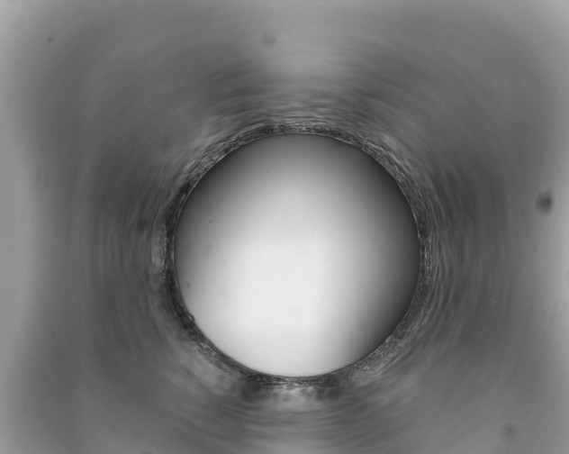 X0000091300760200708101047