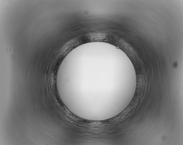 X0000091300761200708101047